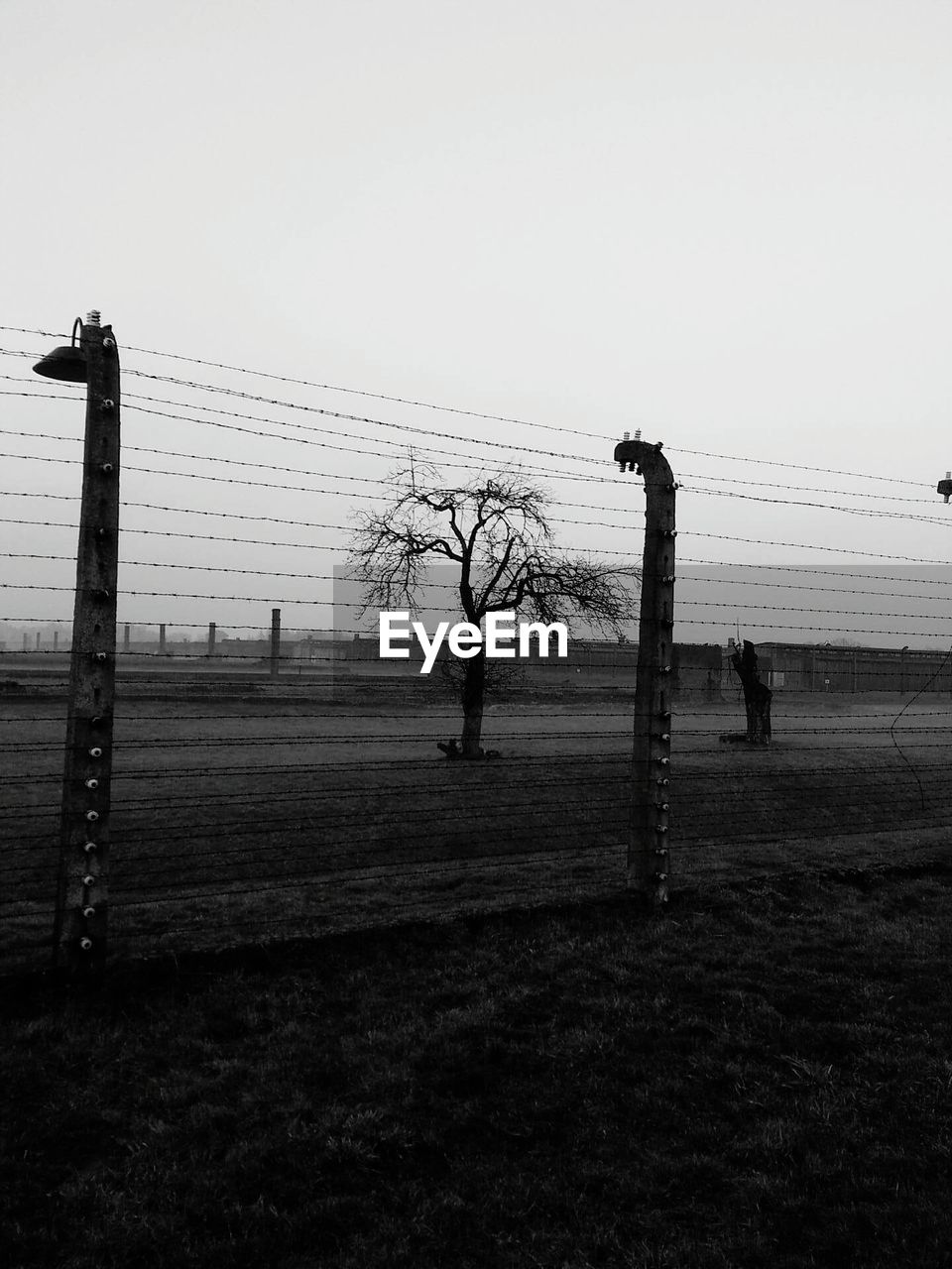 Fence on field at dusk