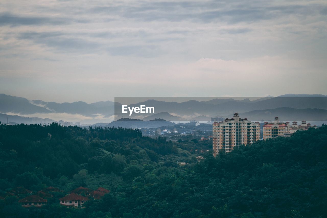 Buildings and trees in city against sky