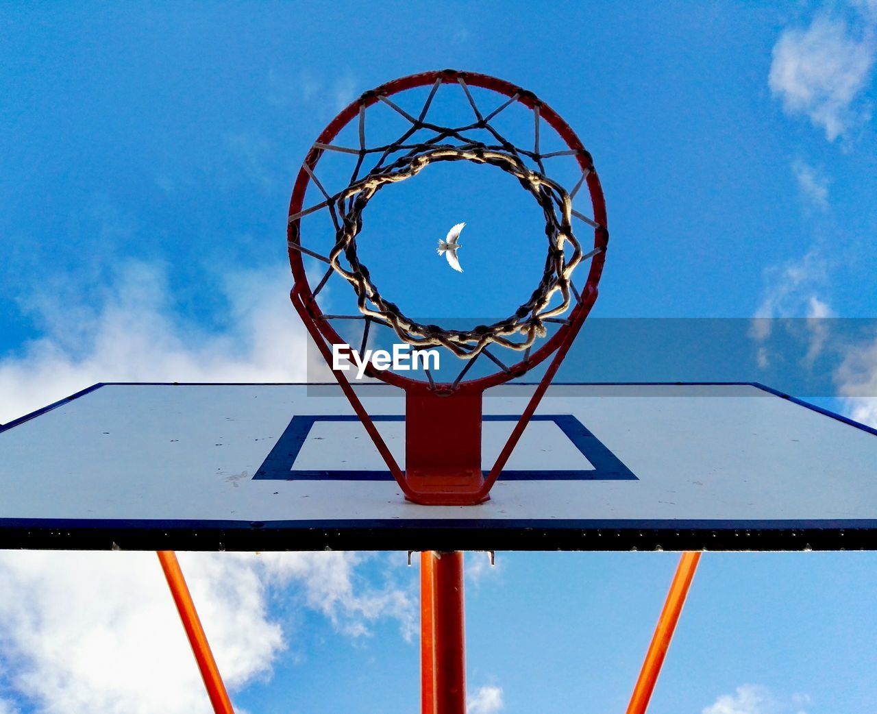 Low angle view of bird flying against sky seen through basketball hoop