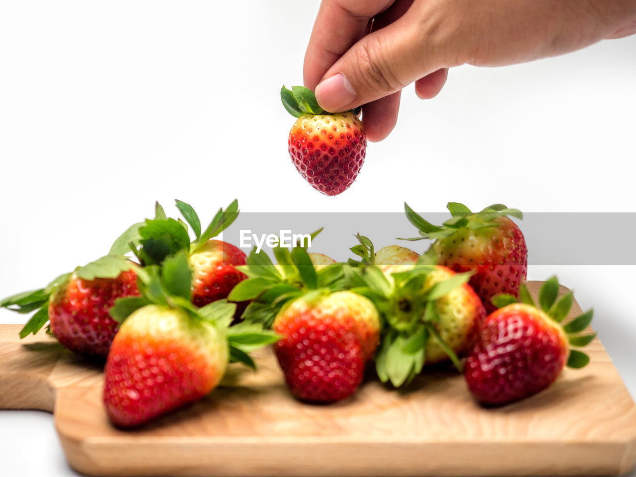 CLOSE-UP OF HAND HOLDING FRUIT