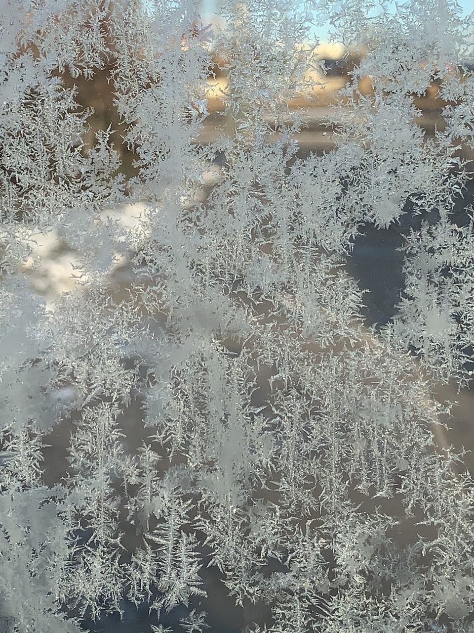 frost, window, glass, full frame, winter, backgrounds, no people, freezing, transparent, cold temperature, snow, pattern, close-up, nature, snowflake, day, frosted glass, water, frozen, ice, indoors, wet, car