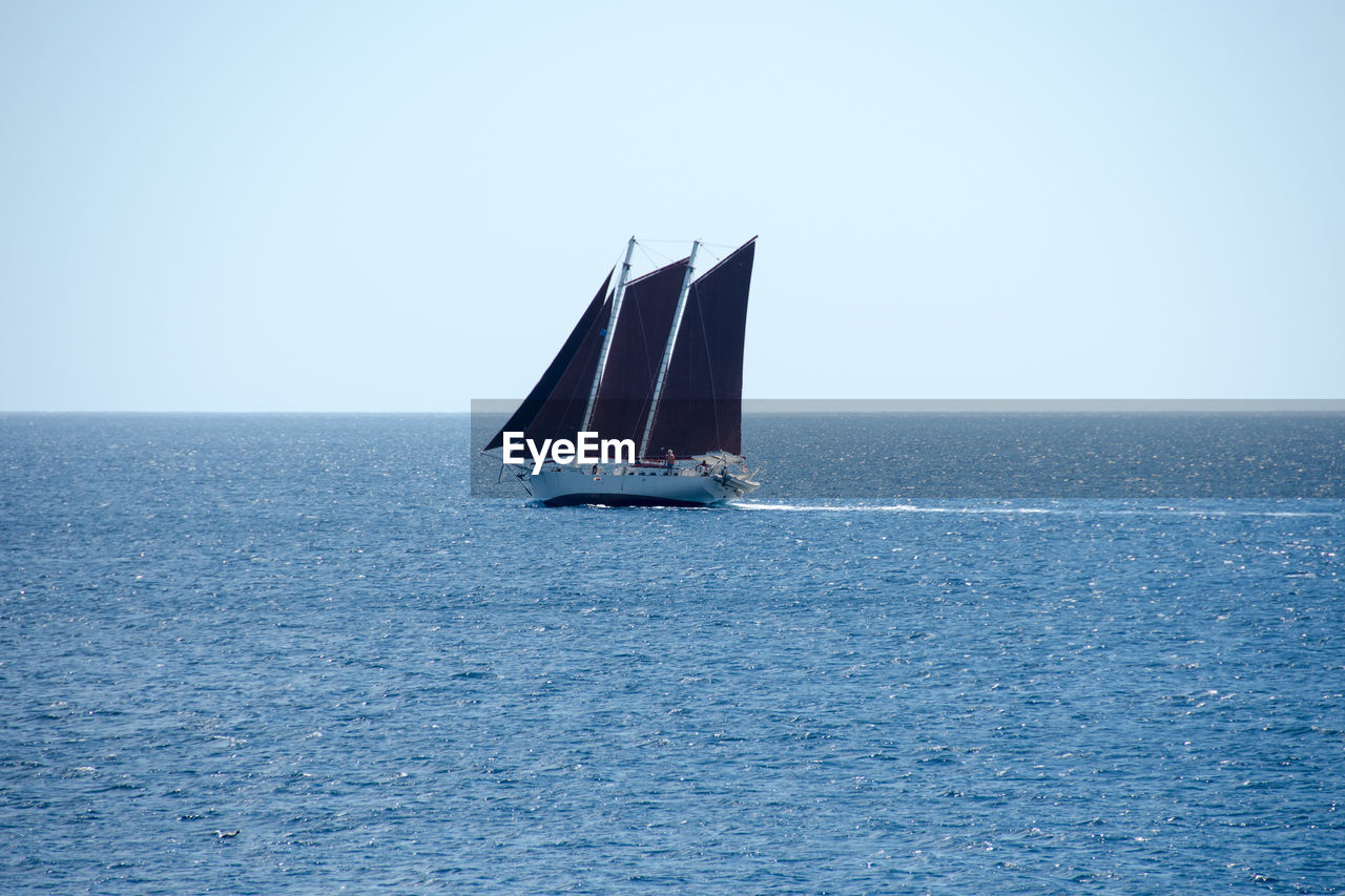 Sailboat sailing on sea against clear sky