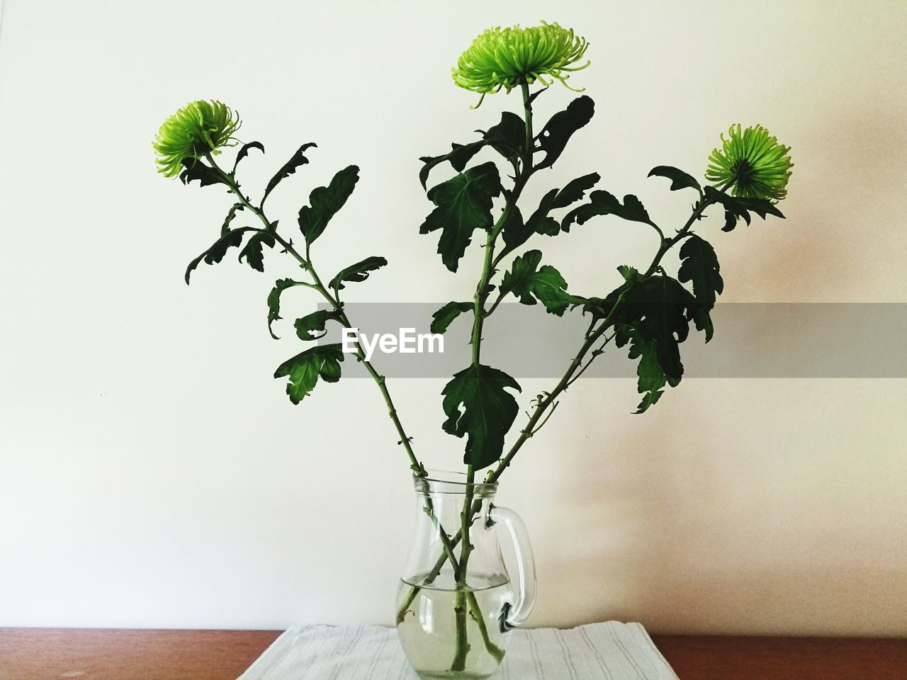 CLOSE-UP OF PLANT ON TABLE AT HOME