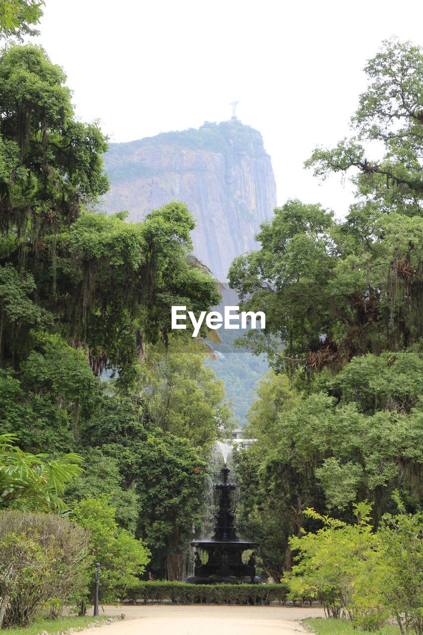 Low angle view of trees and corcovado against sky