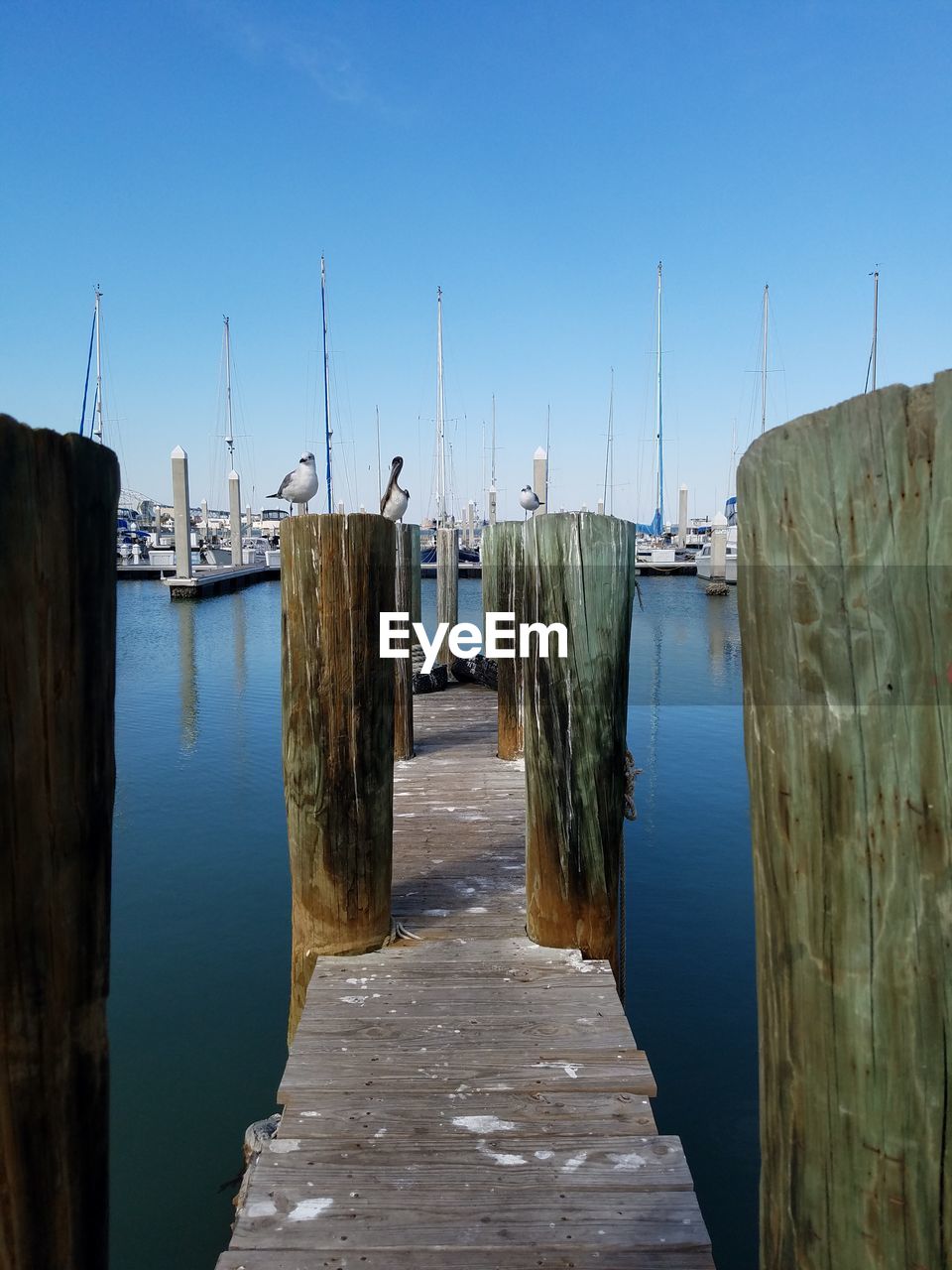 Pier at harbor against clear blue sky