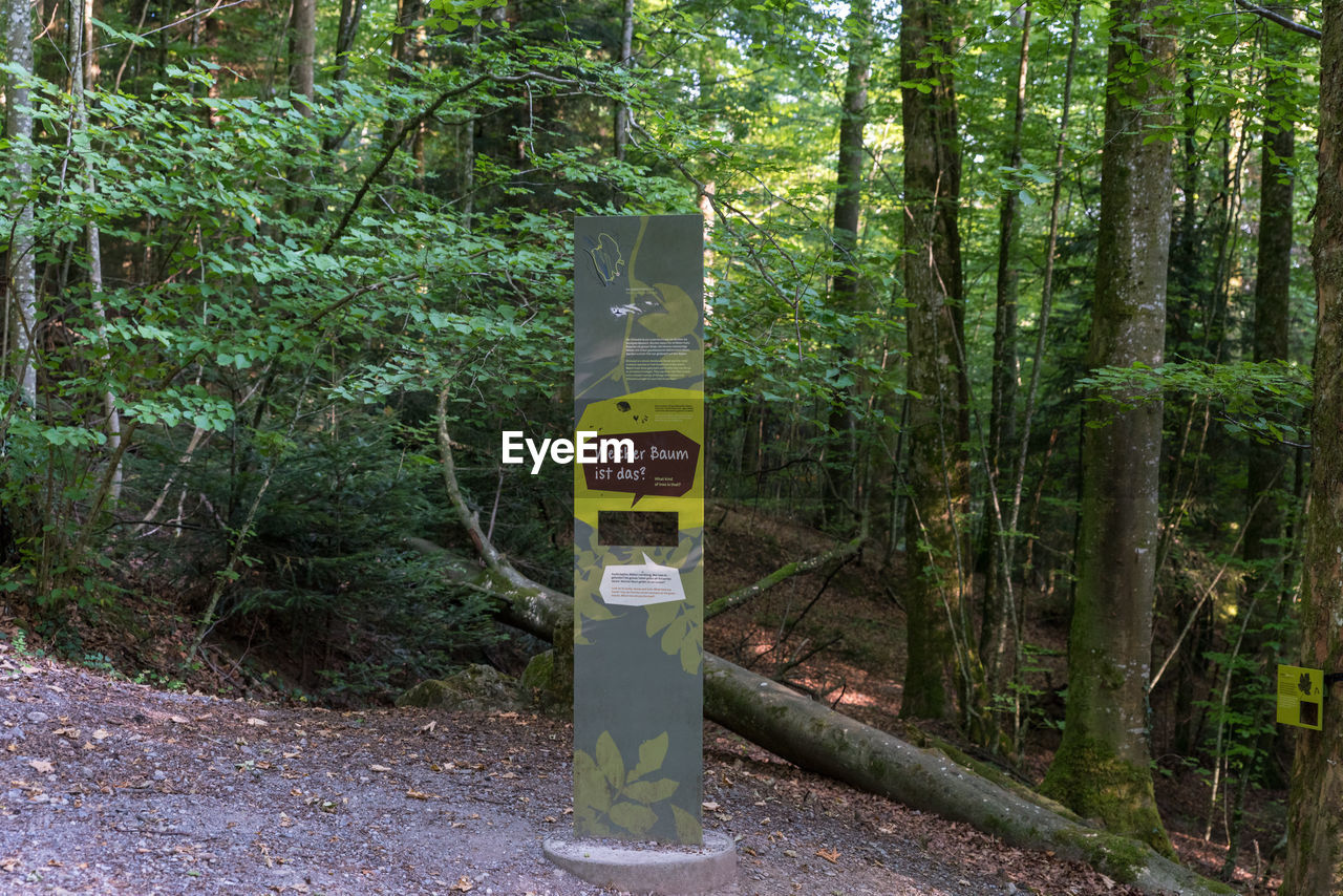 INFORMATION SIGN ON TREE TRUNKS IN FOREST