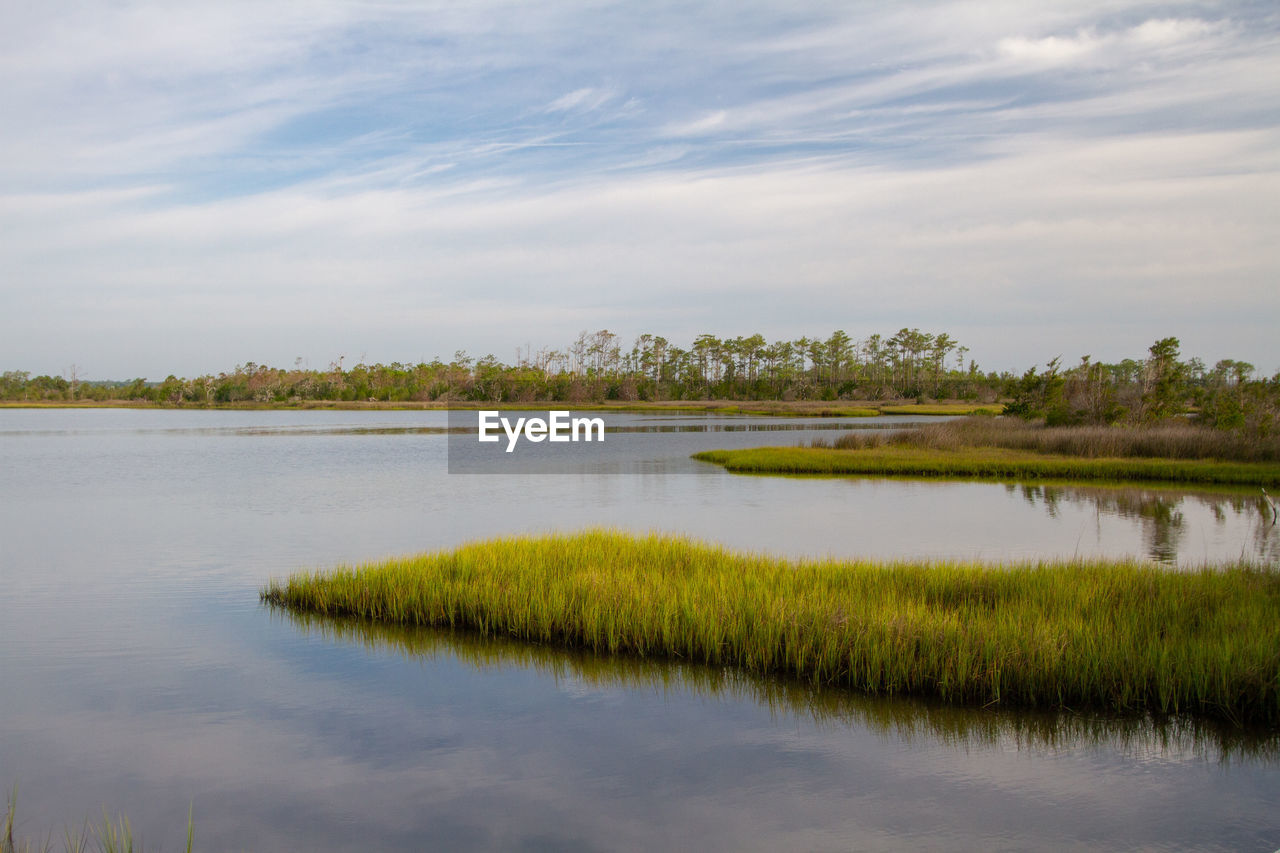 Scenic view of marsh against sky croatan national forest, outer banks, north carolina 