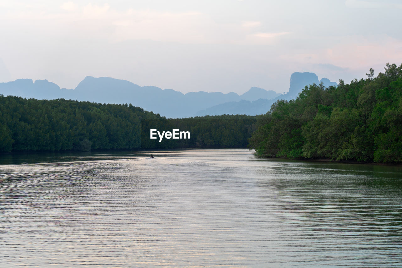 SCENIC VIEW OF LAKE AMIDST TREES AGAINST SKY