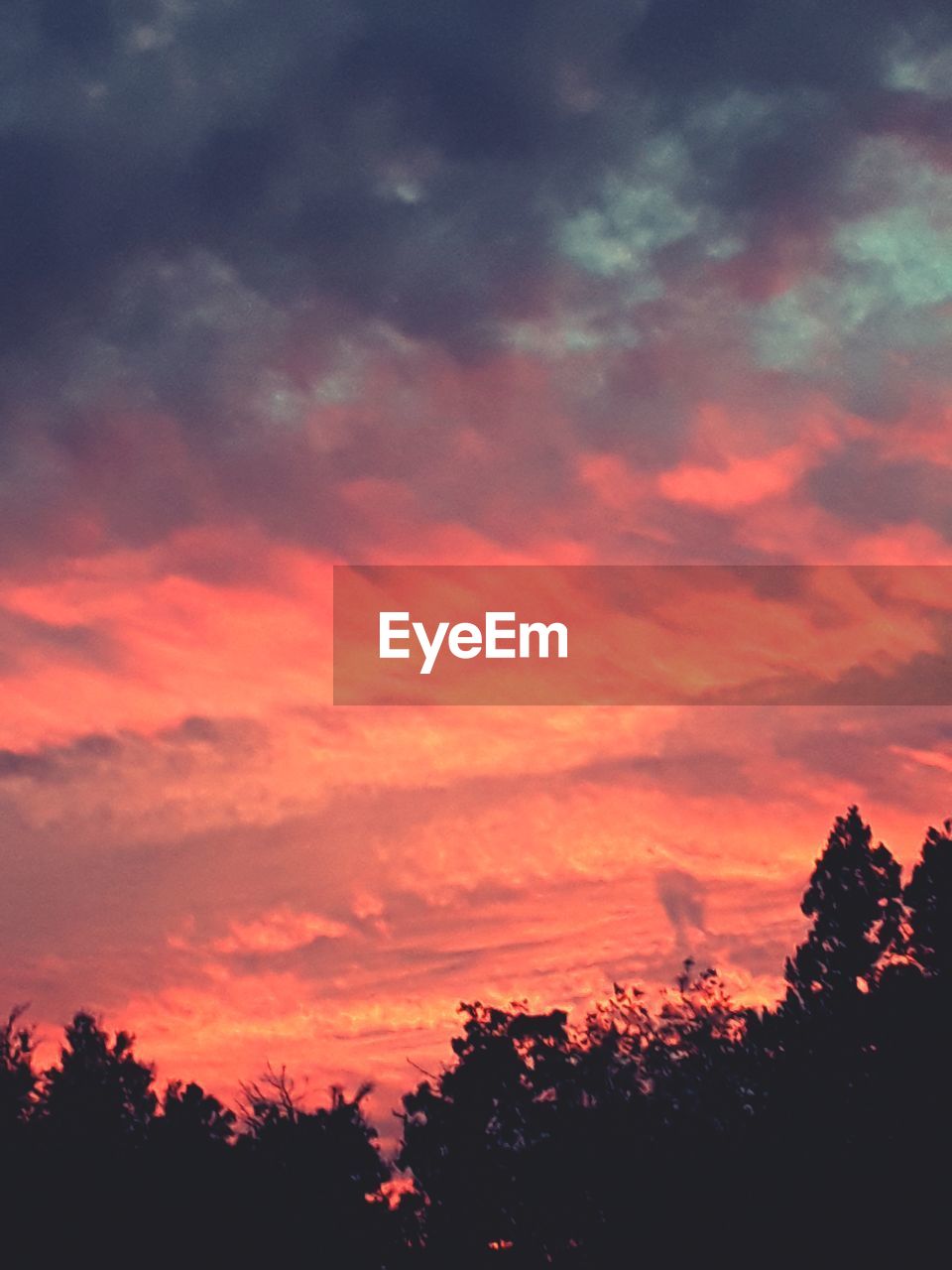 LOW ANGLE VIEW OF SILHOUETTE TREES AGAINST ROMANTIC SKY