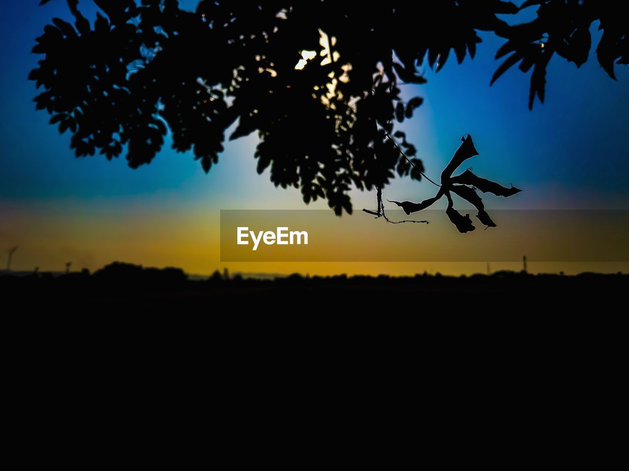 SILHOUETTE TREE AGAINST SKY DURING SUNSET