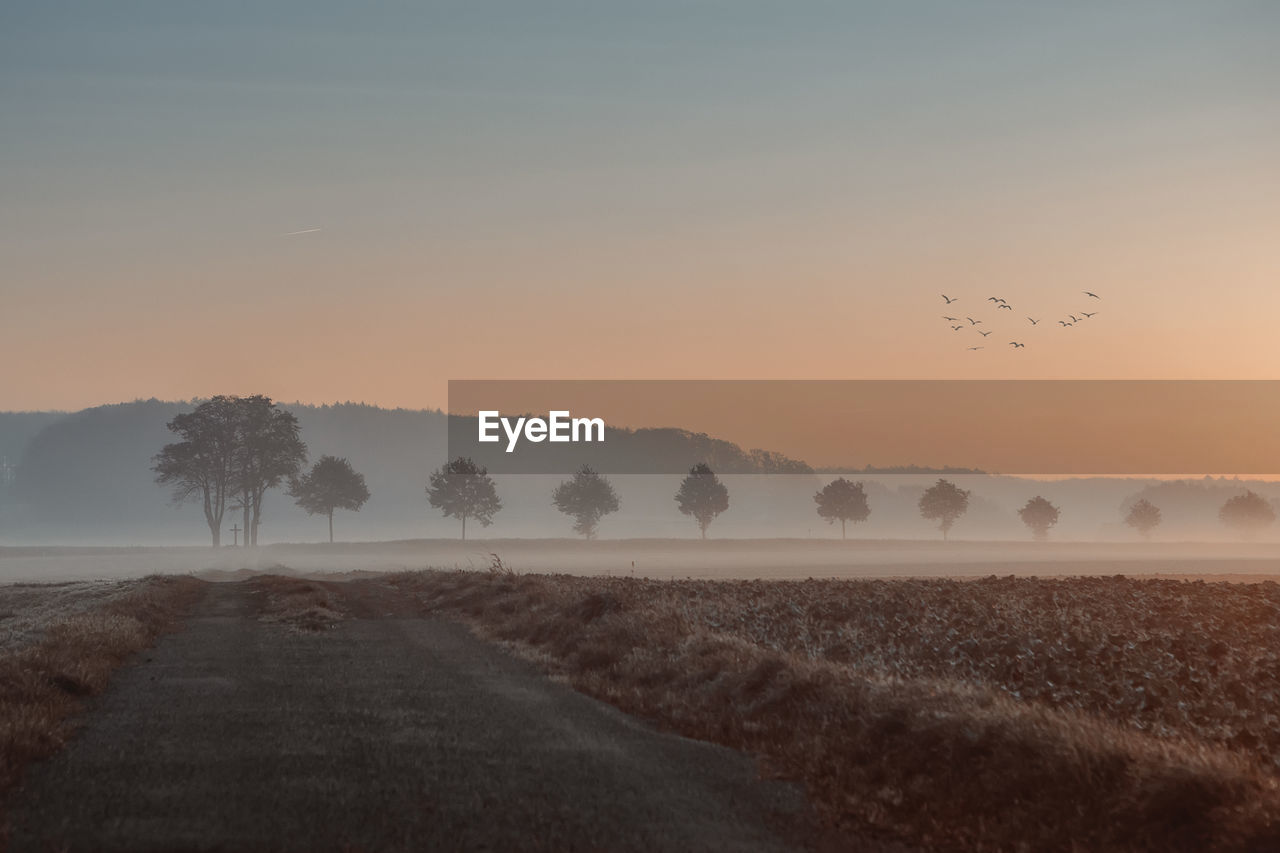 SCENIC VIEW OF ROAD AGAINST SKY DURING SUNSET