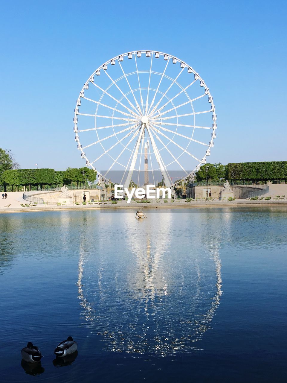 FERRIS WHEEL IN WATER