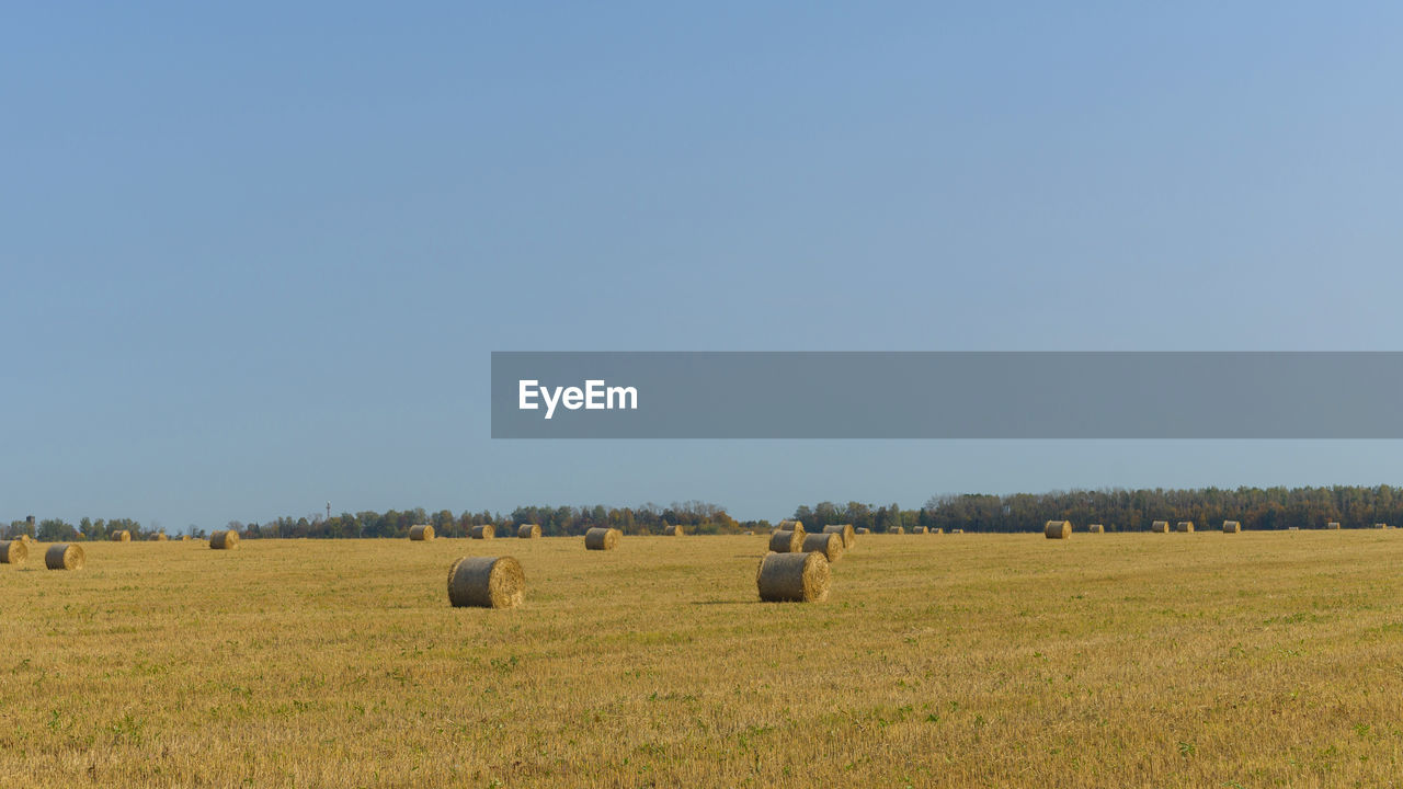 HAY BALES ON FIELD AGAINST SKY