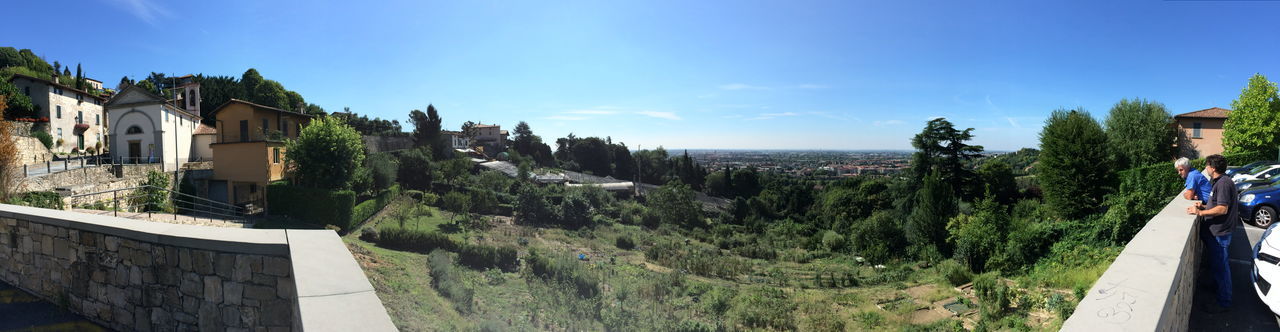 Panoramic view of trees growing on field against sky in city