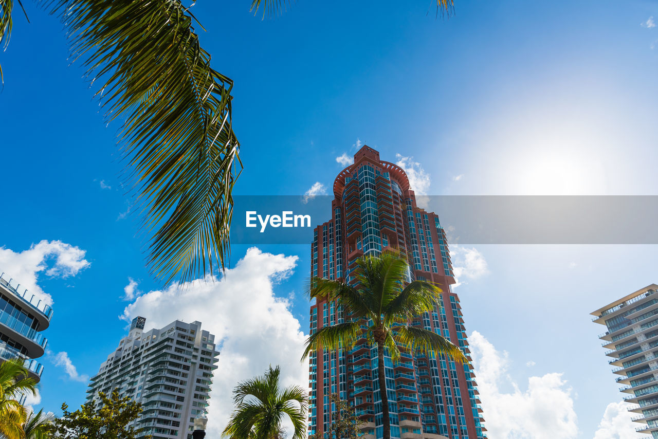 Low angle view of palm trees and buildings against sky