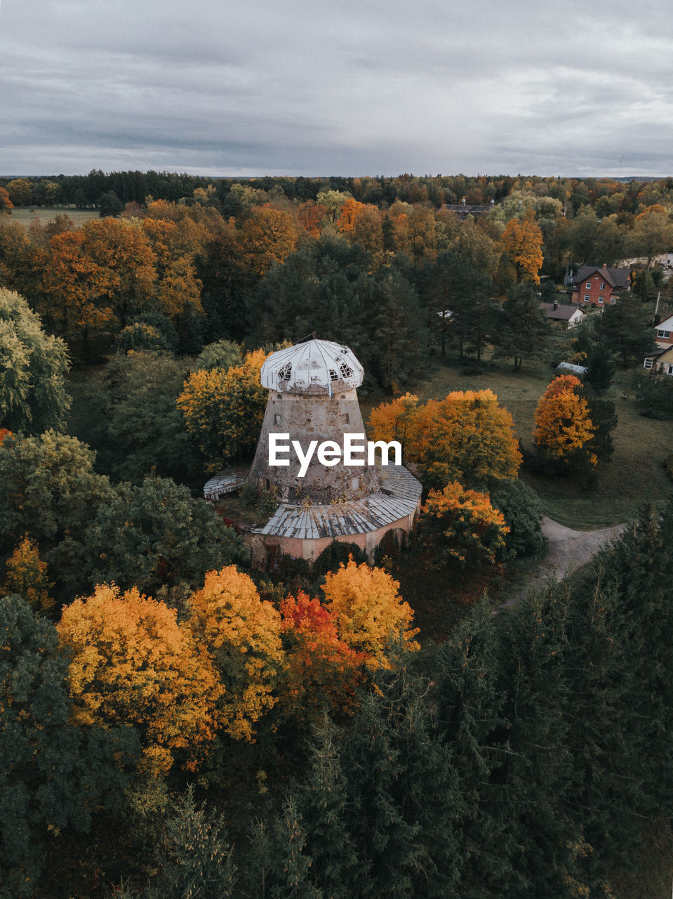 SCENIC VIEW OF TREES AND PLANTS AGAINST SKY