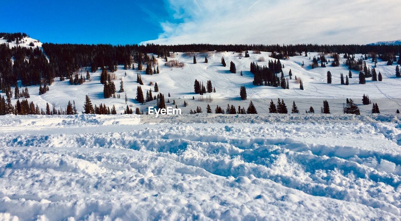 PANORAMIC VIEW OF SNOW COVERED LAND