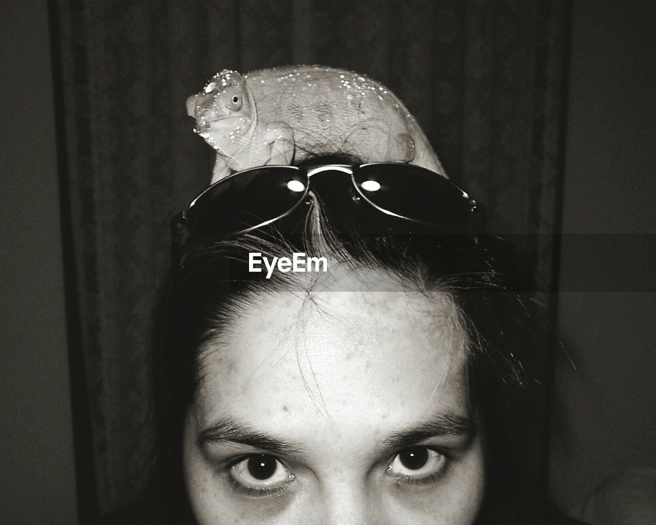 Cropped portrait of woman with chameleon on head at home