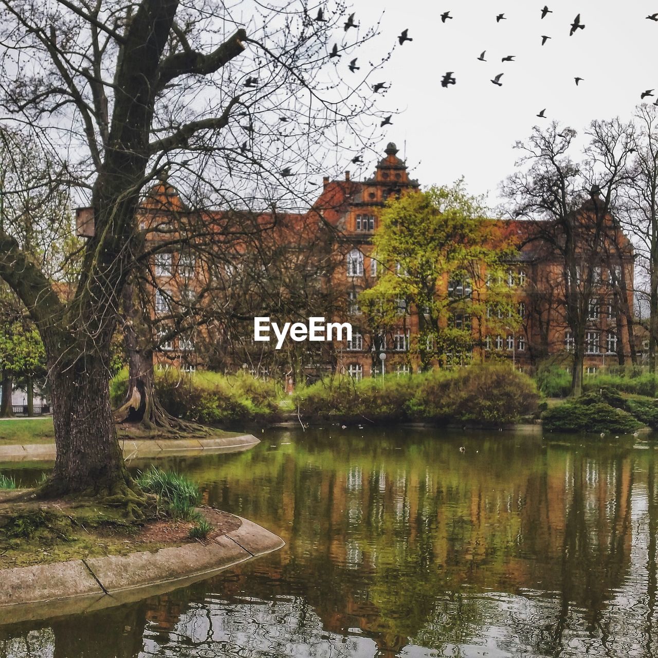 Reflection of trees in river against building