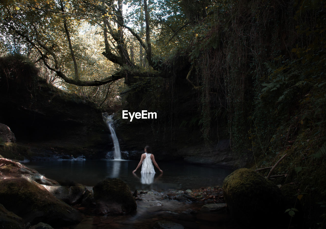 Rear view of woman standing on rock in forest