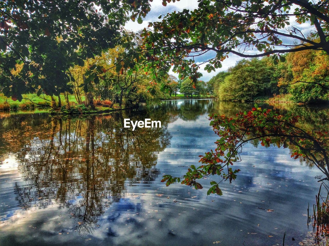 View of river in forest