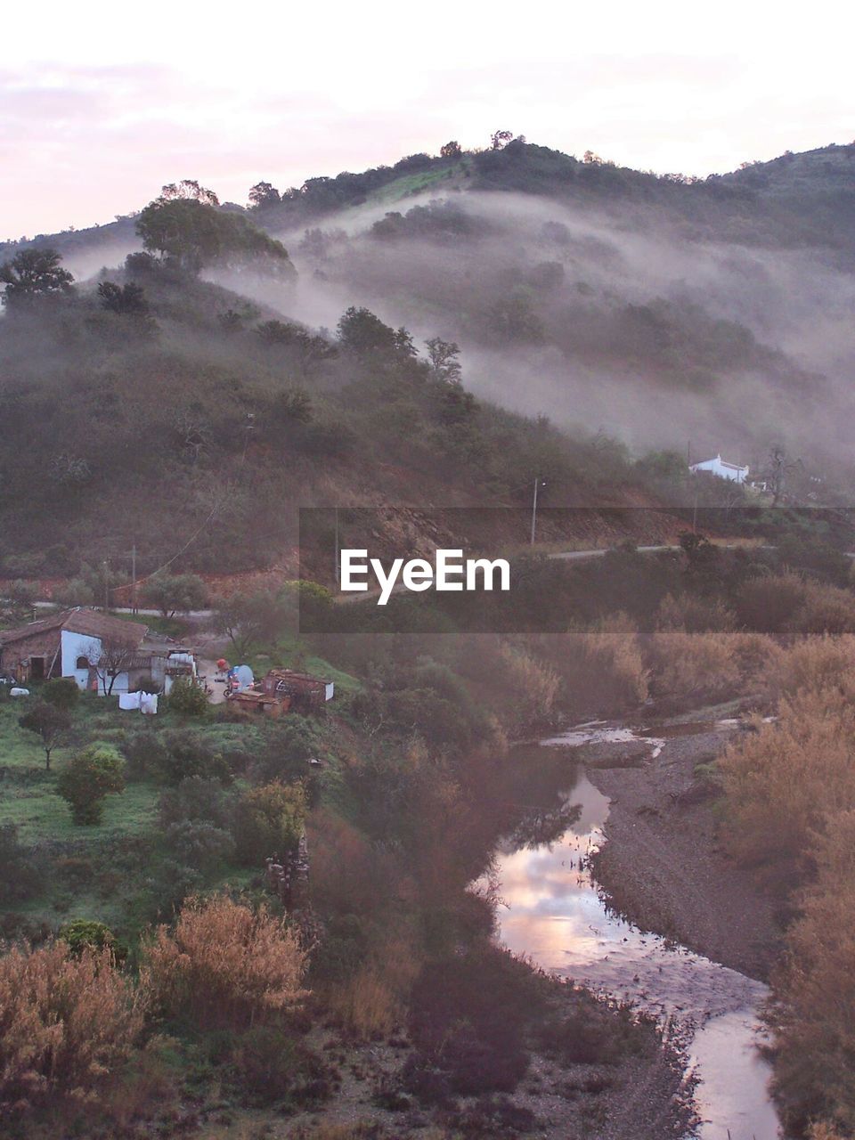 SCENIC VIEW OF MOUNTAINS AND TREES