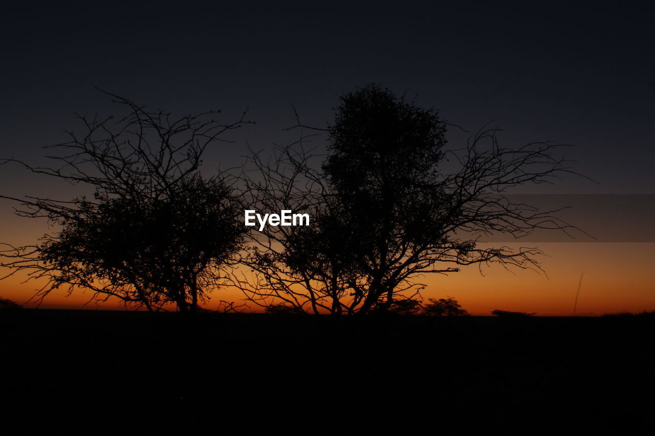 SILHOUETTE OF BARE TREE AGAINST CLEAR SKY AT SUNSET