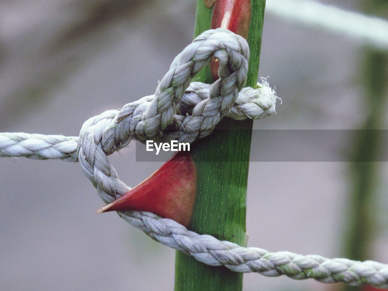 CLOSE-UP OF ROPES ON ROPE