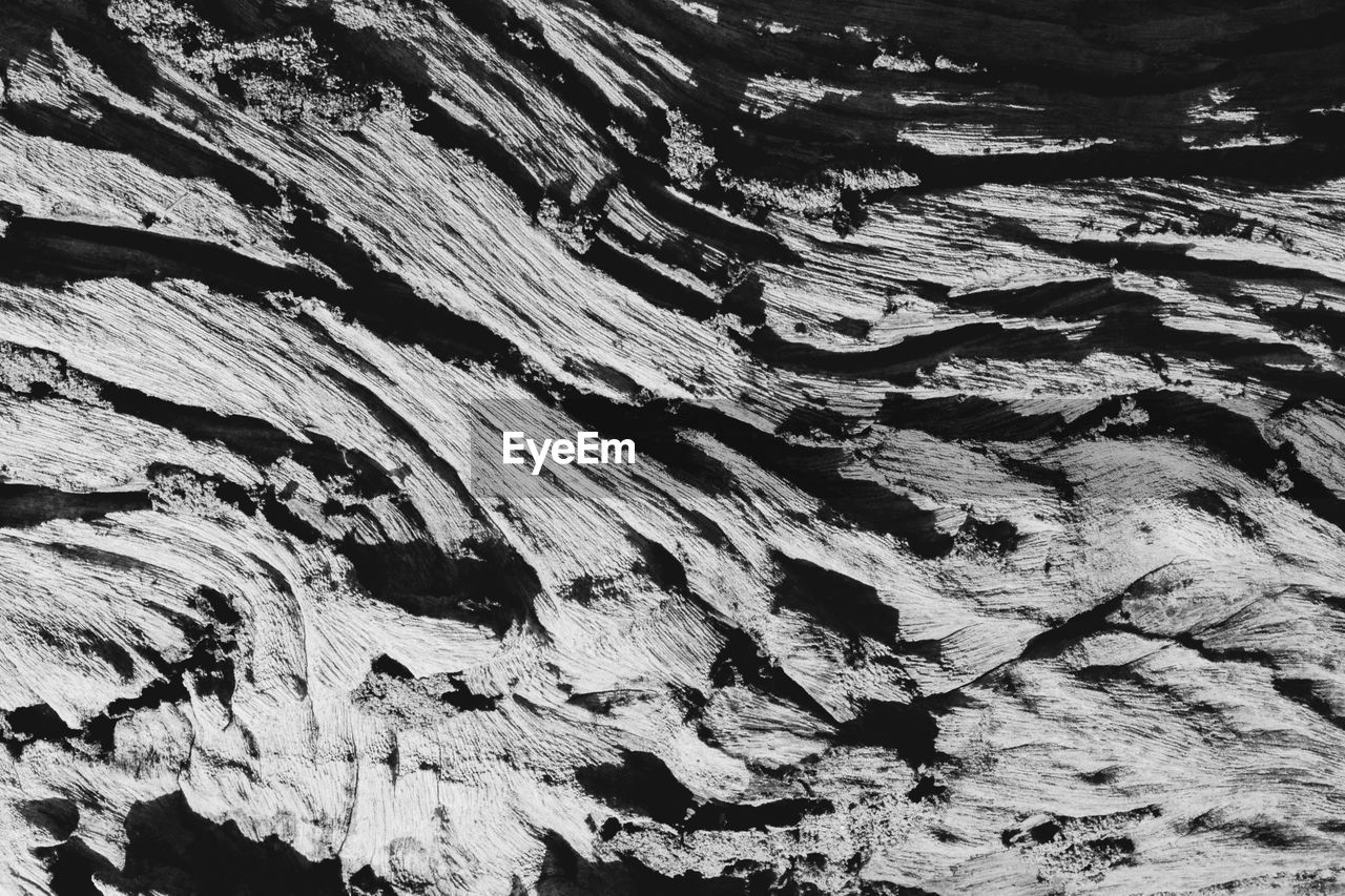 FULL FRAME SHOT OF TREE TRUNK ROCK FORMATION