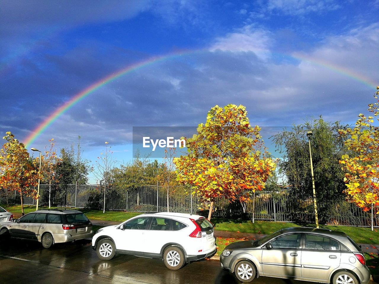 RAINBOW OVER TREES DURING AUTUMN