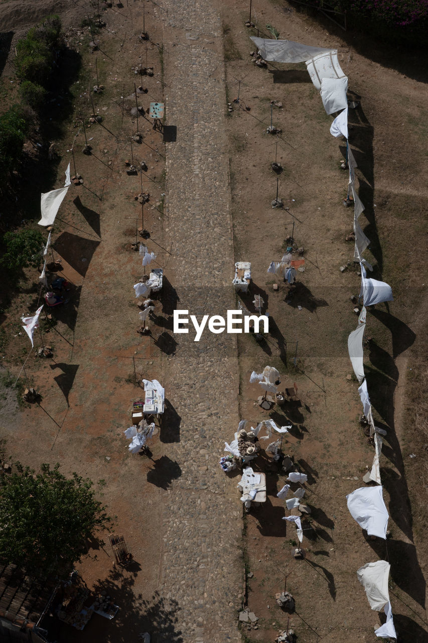 HIGH ANGLE VIEW OF TREES