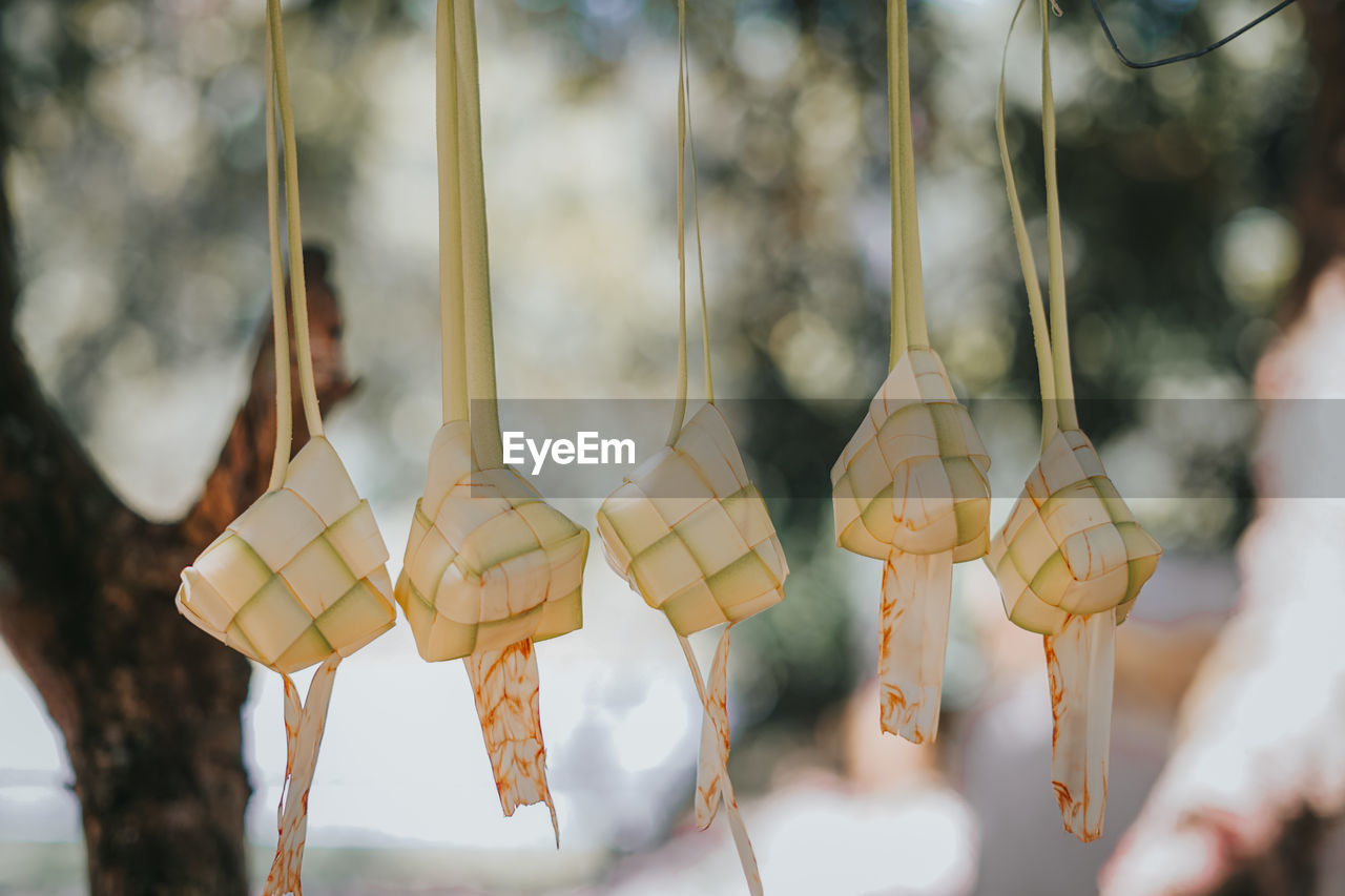 Close-up of ketupat hanging against blurred background