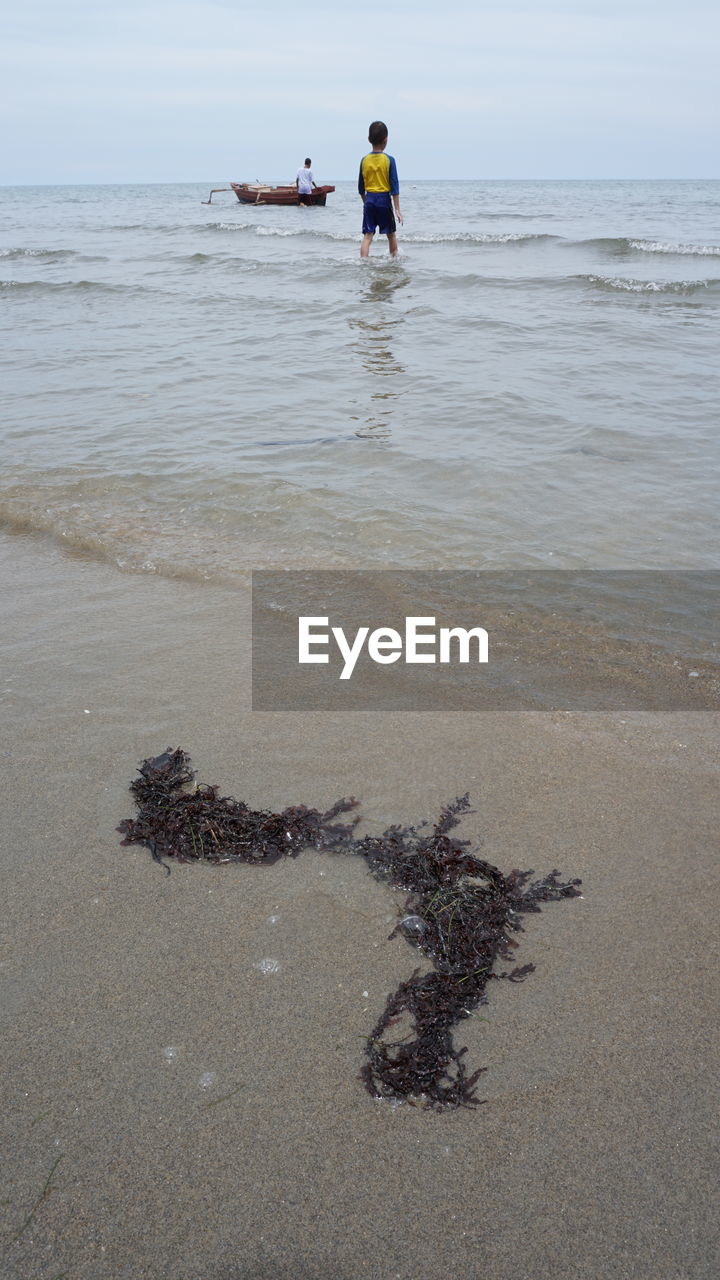 Rear view of boy standing in sea against sky