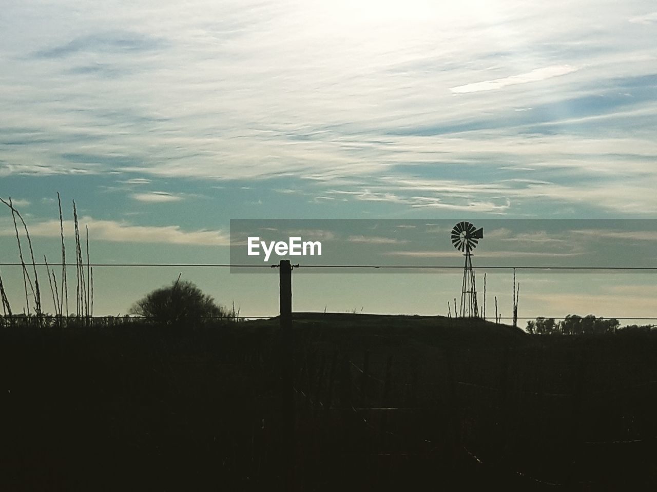 SILHOUETTE OF TREES ON FIELD AGAINST SKY