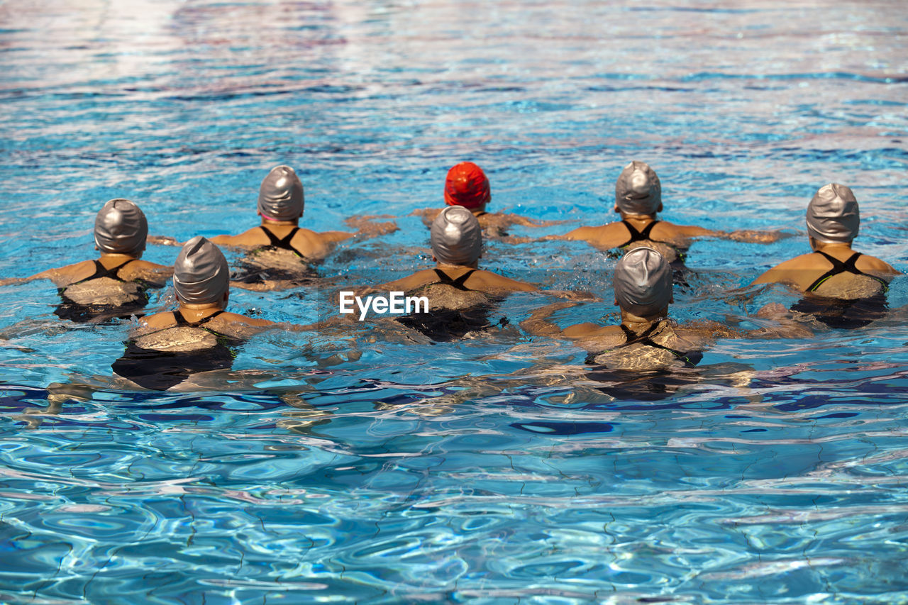 Rear view of swimmers in pool