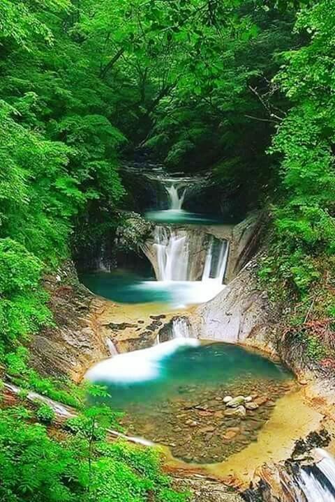 VIEW OF WATERFALL THROUGH FOREST