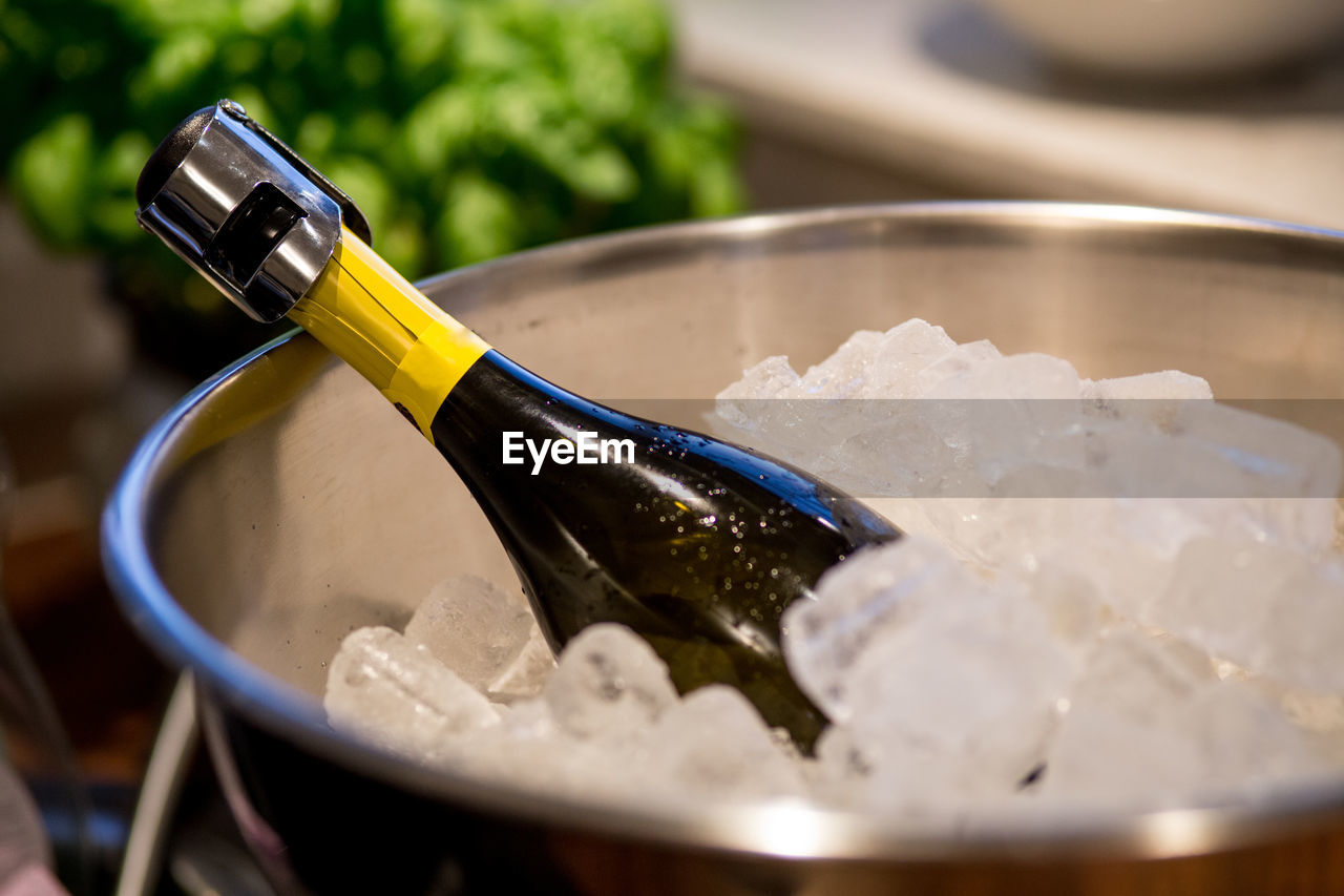 Close up of bottle amidst ice cubes in bucket