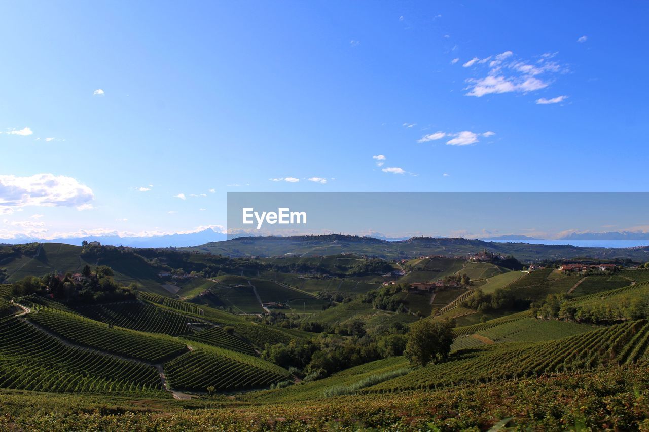 Scenic view of vinery field against sky in langhe, piedmont. 