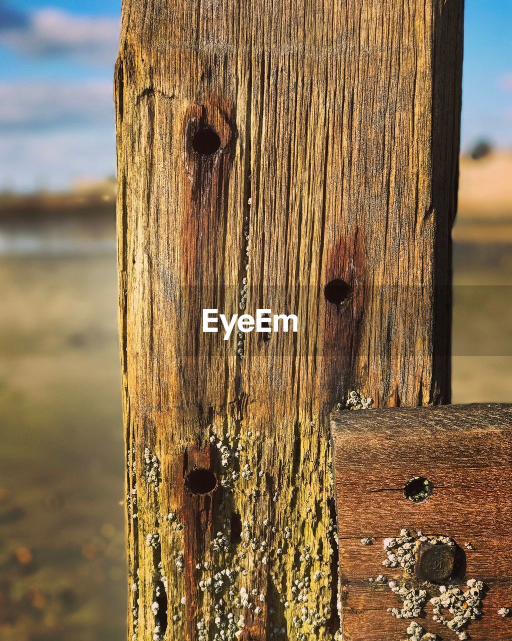 CLOSE-UP OF WOODEN POSTS ON BEACH