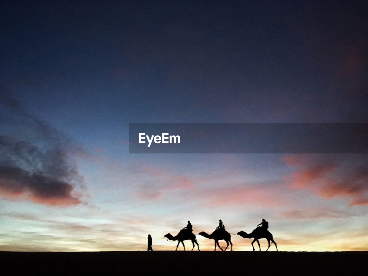 Silhouette people riding camels on desert against sky