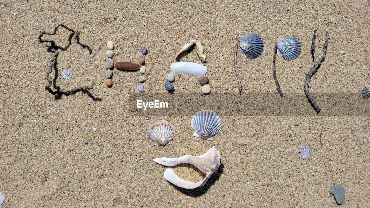 Beach art with shells