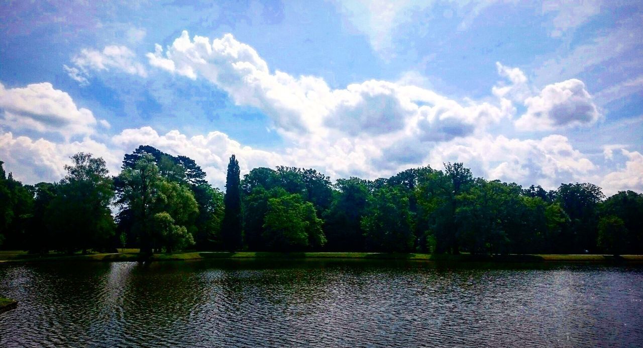 SCENIC VIEW OF RIVER AMIDST TREES AGAINST SKY