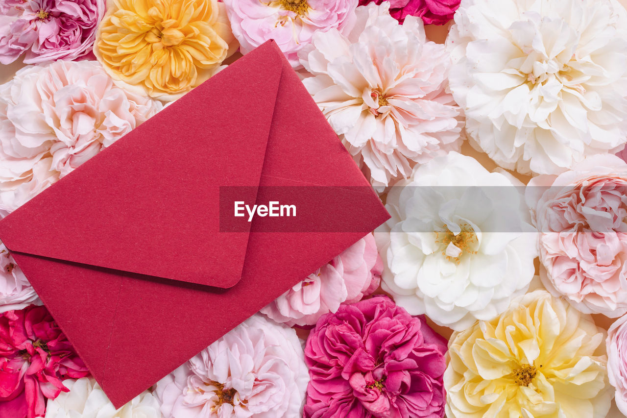 High angle view of red blank envelope on various flower buds. flower pattern.