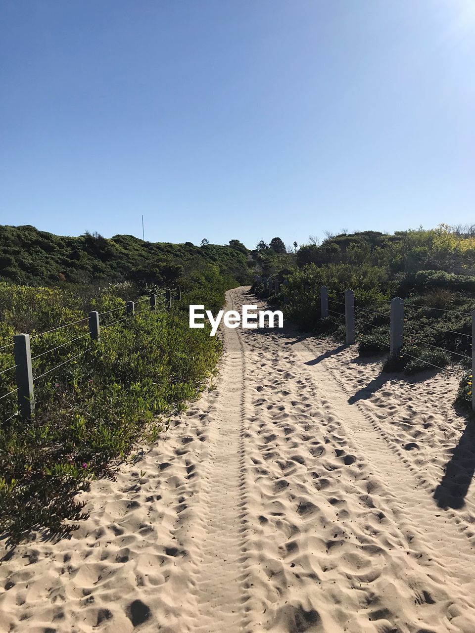 FOOTPATH AMIDST PLANTS ON BEACH AGAINST SKY