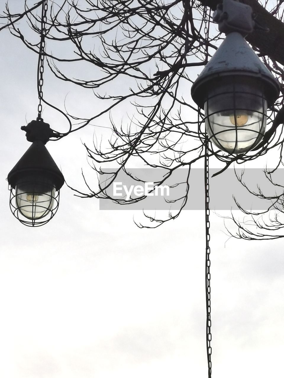 LOW ANGLE VIEW OF STREET LIGHT HANGING ON BARE TREE