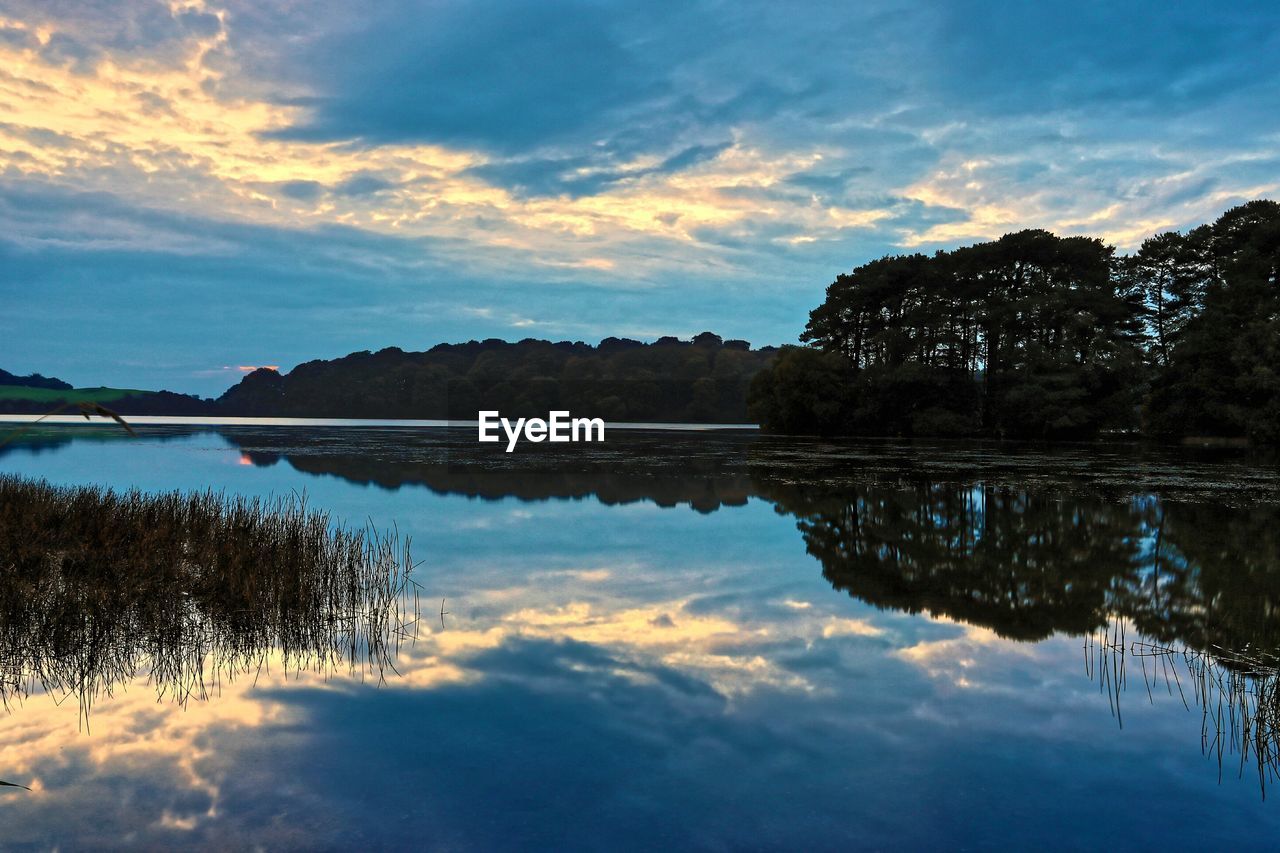 REFLECTION OF TREES IN LAKE AGAINST SKY