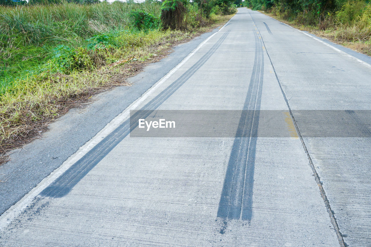 SURFACE LEVEL OF EMPTY ROAD ALONG TREES