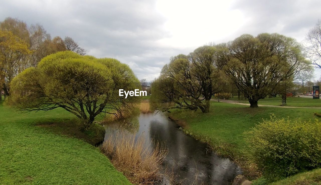 SCENIC VIEW OF TREES AND PLANTS AGAINST SKY