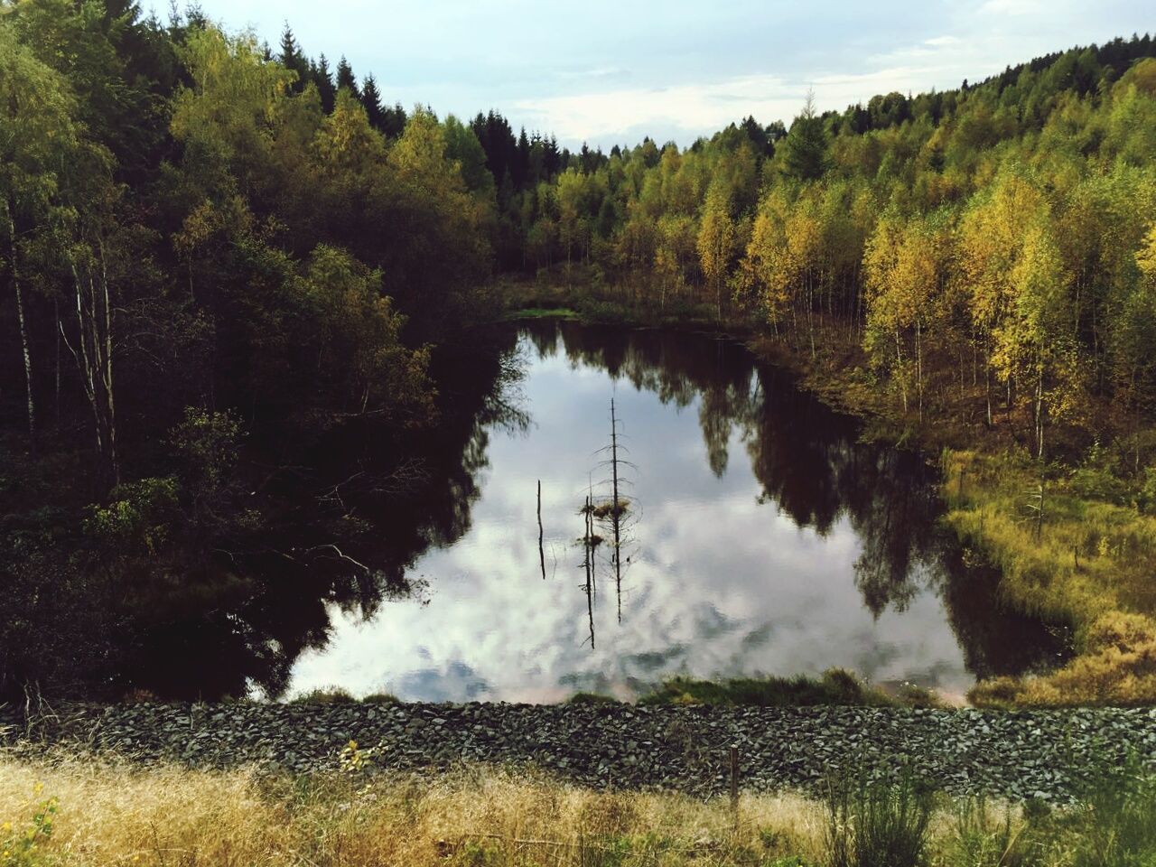 VIEW OF CALM LAKE AGAINST TREES