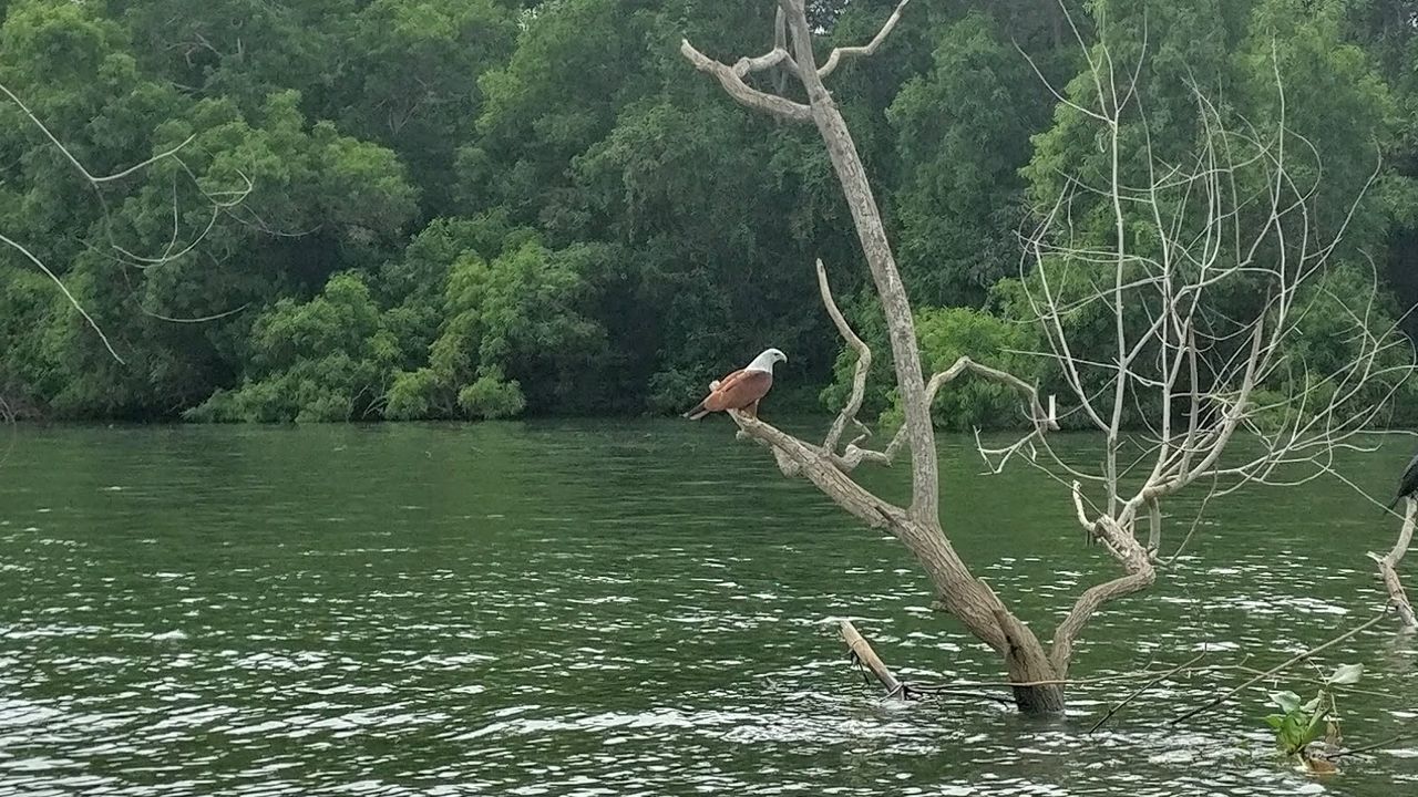 MAN IN WATER